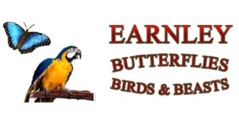 Earnley Butterflies, Birds & Beasts